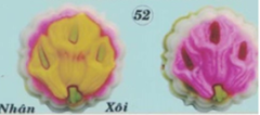 Khuôn Nhựa RCNL - NL52 - 3 Loa Kèn Chùm