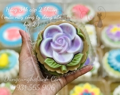Khuôn Nhựa RCVT - RT02 - Hồng 1c Kèm Lá