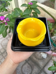 Khuôn Silicon - Hủ Vàng - Rỗng Nhỏ 8.2cm