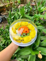 Khuôn Nhựa RCVT - RT34 - Cá VT