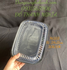 Hộp Nhựa - Chữ Nhật HT203 - 24x17cm Cao 5cm