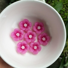 Khuôn Silicon - Hoa Mai Đào - 2.5cm - 6c HOT