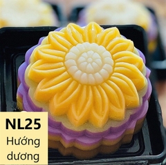Khuôn Nhựa RCNL - NL25 - Hướng Dương Đại
