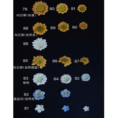 Khuôn Silicon - Set Combo 12 Hoa Hướng Dương Hàn Quốc