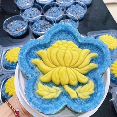 Khuôn Ấn Xôi - Mai 5 Cánh NL - 16cm - Hoa Cúc
