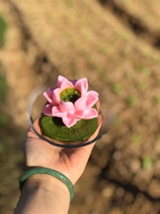 Khuôn Silicon - Hoa Sen Thái Nở - 7cm - 3T - SL145