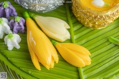 Khuôn Silicon - Nụ Hoa Nằm Hoa Ngọc Lan Set 3 - 6cm 4cm 2cm sale 69k