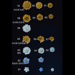 Khuôn Silicon - Hoa Hàn Quốc -Cúc Hướng Dương H81