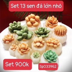 Combo 13 Khuôn Silicon Sen Đá