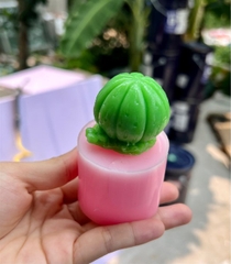Khuôn Silicon - Sen Đá ĐỨNG  - Set - #7 - 4.5cm - Quanh Khía