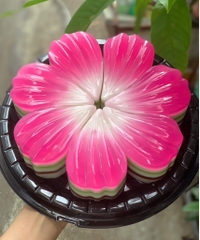 Khuôn Silicon - Đế - Tim Mâm Cúng - Tim Sọc