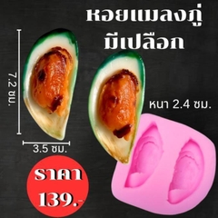 Khuôn Silicon - Món Ăn - Con Sò Vẹm Xanh 2c