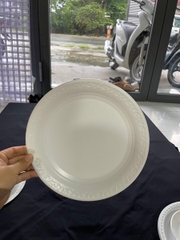 Dĩa Nhựa Oval THH - Sấp 50 Dĩa - 18cm PS230