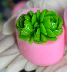 Khuôn Silicon - Sen Đá Nở - 6cm - Chùm Hồng