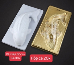 Hộp Nhựa - Cá Chép - 30cm