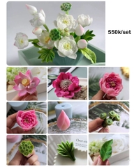 Khuôn Silicon - Combo Set 9 Hoa Sen Nở sale 550k