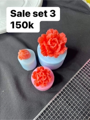 Khuôn Silicon - Hoa Cẩm Chướng Set 3 - 3-4-7cm