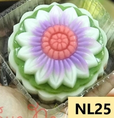 Khuôn Nhựa RCNL - NL25 - Hướng Dương Đại