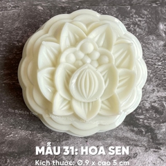 Khuôn Nhựa RCVT - RT31 - Hoa Sen BS