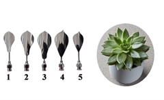 Kim 3D Inox - Bộ 5 - Mẫu 49 Sen Đá