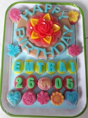 Khuôn Cơm Nhựa - Xôi - Thạch 18-21cm - CN11 - Chữ Happy Birthday Tròn