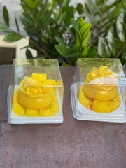 Hộp Nhựa - Vuông JHL14 - 13cm Đế Trắng