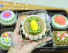 Khuôn Nhựa RCVT - RT07 - Trái Khóm 1c