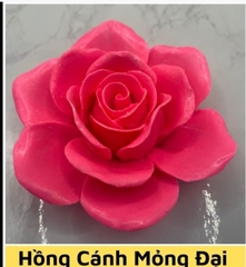 Khuôn Silicon - Hoa Hồng Nở - 9.5cm - 6 Cánh