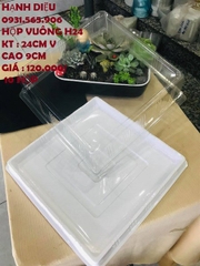 Hộp Nhựa - Vuông H121 - 24x24cm Cao 9cm