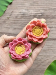 Khuôn Silicon - Hoa Sen Thái Nở - Sen Kèm Lá 5cm