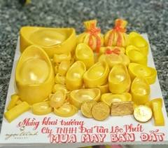 Khuôn Silicon - Túi Vàng - Nằm 2c