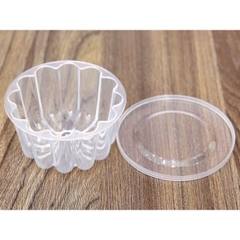 Hộp Nhựa - Mai TH Hofaco HPL - Set 10c ~ 80ml