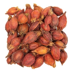 Tạo Màu TN - Hạt Dành Dành
