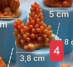 Khuôn Silicon - Sen Đá ĐỨNG  - Set - #4- 3.8x4.8cm - Chùm Tia