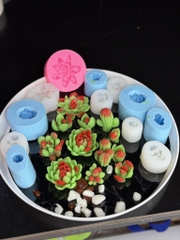 Combo 12 Khuôn Sen Đá Sale Live 249k