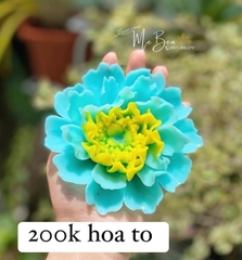 Khuôn Silicon - Hoa Mẫu Đơn Đại Xòe 12.6cm