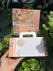 Hộp Giấy - Bánh Trung Thu Quai Xách - 4 Bánh - 4N05