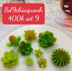 Combo 9 Khuôn Silicon Sen Đá SD9 Chia quanh
