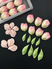 Khuôn Silicon - Hoa Bay Cánh Rũ - Nụ Tulip Kèm Lá