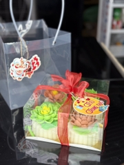 Túi Nhựa - Đựng Hộp Mika - Quai Xách 22cm