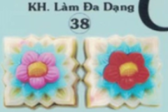 Khuôn Nhựa RCNL - NL38 - Vuông Cẩm Chướng