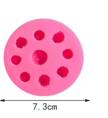 Khuôn Silicon - Trái Cây Berry - Việt Quất Phúc Bồn Tử 9c