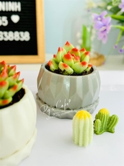 Khuôn Silicon - Chậu Cây - Đa Giác 9.7cm Kèm Đế