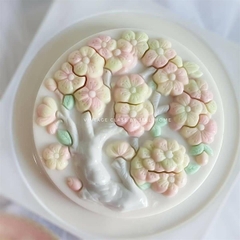 Khuôn Nhựa Cứng - Rau Câu NL