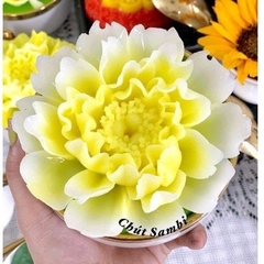 Khuôn Silicon - Hoa Mẫu Đơn Đại Xòe 12.6cm