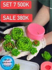 Combo 7 Khuôn Silicon Sen Đá Sale 380K
