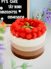 Khuôn Silicon - Trái Cây Berry - Mâm Xôi Lỗ Vòng Lớn 16