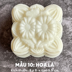 Khuôn Nhựa RCVT - RT10 - VUÔNG Cúc 2c
