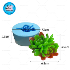 Khuôn Silicon - Sen Đá Nở - Chùm 2 - Cánh Tia