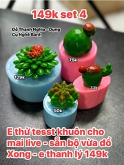 Combo 4 Sen Đá Phật Bà Rùa Có Hoa Quanh